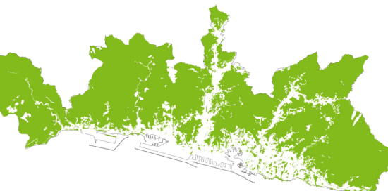 Planimetria del Piano del Verde 